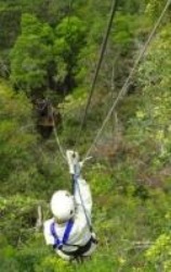 Zip Line by Sabie River